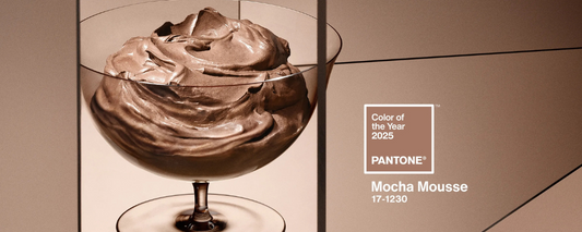 Couleur Pantone 2025 : optez pour un canapé Mocha Mousse !