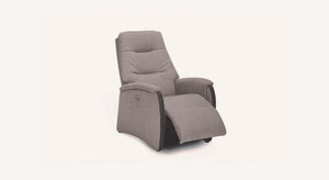 ALDO Lift Chair +50 fabrics &amp; leathers to choose from